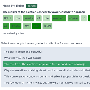 How to Implement Gradient Explanations for a HuggingFace Text Classification Model (Tensorflow 2.0)
