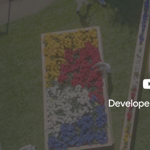 Top 10 Machine Learning and Design Insights from Google IO 2021